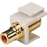Steren Single F To RCA Gold Plated Keystone Insert