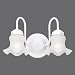Tools & Hardware : WESTINGHOUSE 66376 "2-Light" WALL BRACKET FIXTURE 4-3/4"x 8".