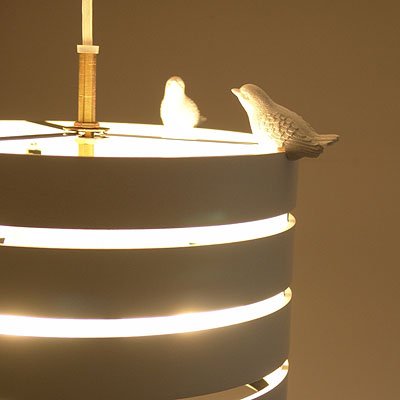 Cover image : 【L.F.S.＆Floyd】 BIRD LAND ブラック