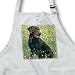 Dogs Labrador Retriever - Chocolate Labrador Retriever - Aprons