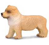 Small Chow Chow Puppy FigureIMAGE