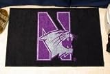 Northern Michigan Wildcats 20 x 30 Starter Mat