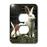 Rabbits - White New Zealand Rabbit - Light Switch Covers - 2 plug outlet cover