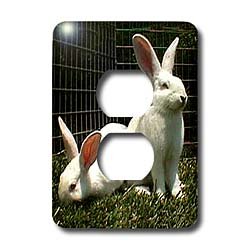 Rabbits - White New Zealand Rabbit - Light Switch Covers - 2 plug outlet cover