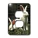 Rabbits - White New Zealand Rabbit - Light Switch Covers - 2 plug outlet cover Image