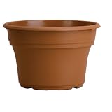 Buy Akro Mils PA10000E22 Panterra Pot, Clay, 10-Inch by Akro-Mils