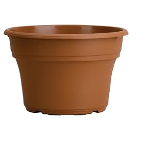 Buy Akro-Mils PA10000E22 Panterra Pot, Clay, 10-Inch by Akro-Mils now!
