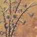 ������S���B~Romance Of Scarlet~