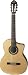 Washburn Classical Series Acoustic Electric Cutaway Guitar