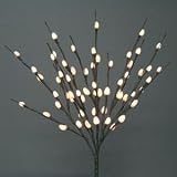 The Light Garden NPWL6020-B Battery Powered Natural Pussy Willow Accent Light with 60 Lights