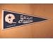 Dallas Cowboys 1960 NFL Throwback Collection Pennant from Winning Streak Sports