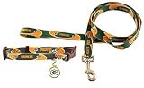 Green Bay Packers Dog Collar Leash & ID Tag Set Size Medium
