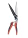 Spear & Jackson - Razorsharp Single Hand Shears
