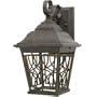 Golden Lighting 10528-M WI Monarch Inn Outdoor Sconce, Weathered
