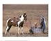 Cowgirl In Heaven Art Print Poster By David R Stoecklein, 20  x 16 