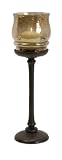 Large Iron and Iridescent Holder 14