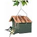 Perky Pet 339 Squirrel Be Gone II Feeder Home with Chimney