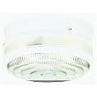 Westinghouse Light A 66238 Ceiling Fixture