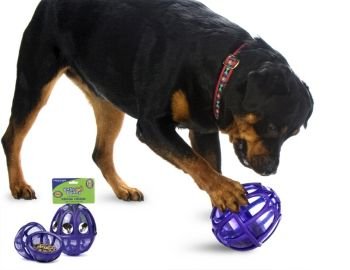 Premier Busy Buddy Kibble Nibble Dog Toy