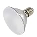 Satco S4102 - 75PAR30/FL/FROST - Frosted 75 Watt PAR30 Flood Light Bulb, 38 Degree Flood
