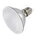 Halogen PAR Flood Light, 75 Watt PAR 30, Short, Soft Ray, 120 Volt, 38° Flood