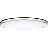 DAIKO ����d�@ �V�[�����O���C�g 8-10���p DX-85802