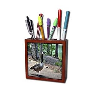 WhiteOak Photography-Canadian Geese - A Canadian Goose - Tile Pen Holders-5 inch tile pen holder