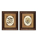 IMAGE OF Butterfly Love Framed Wall Art Prints, Set of 2