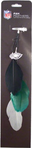 Philadelphia Eagles Fan Feather Hair Clip