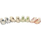 PETCO Multi-Colored Rawhide Shoes by Accessories