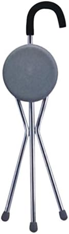 Danny's World® Seat Cane (Gray Round Seat Curved Handle)