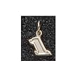 Martin Truex Charm/Pendant -Choose from 14K/10K, Stainless Steel or Gold Plated