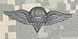 Pararigger - Metal Insignia - Black - Full Size