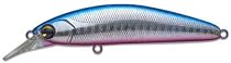 RUNDAM 80  ブルピン RD80