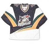 International Hockey League Replica Quebec Rafaels Youth Jersey