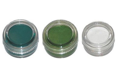 KUSTOM BODY ART FACE PAINT SET SEAHAWKS FOR ADULTS AND KIDS SEATTLE KUSTOM BODY ART FACE PAINT SET SEAHAWKS FOR ADULTS AND KIDS SEATTLE