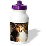 Dogs Sable Border Collies - Sable Border Collie - Water Bottles
