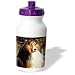 Dogs Sable Border Collies - Sable Border Collie - Water Bottles