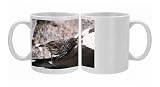 Photo Mugs of Galapagos / Darwin s FINCH - Sharp-beaked Ground Finch - feeding off a live from Ardea Wildlife Pets