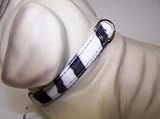 Jungle Prince 14in Dog Collar Zebra 1429