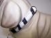 Kitchen & Housewares : Jungle Prince 12in Dog Collar Zebra 1429