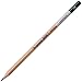 Royal Talens Bruynzeel Design Graphite Pencil, 2H Lead (8815K2H)