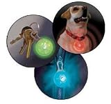 Green Nite Ize Spotlit LED Key ring from Flash Flight