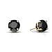 14K Yellow Gold Round Genuine Black Onyx Stud Earrings