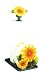 SUNFLOWER 3-D Paper Towel & Napkin Holder NICE & NEW