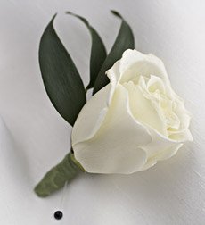 White Rose Boutonniere - Six
