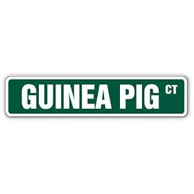 GUINEA PIG -Street Sign- pet food toy small cage signs