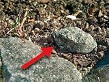 Produkt-Bild: Geheimversteck in echter Steinoptik - f&uuml;r Schl&uuml;ssel, Caches u.v.m.