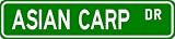 ASIAN CARP Street Sign ~ Fishing ~ Great Fish Sign for your Lodge, Gameroom, Basement, Garage, Barn