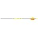 Carbon Express 250 Dozen Mayhem Shaft